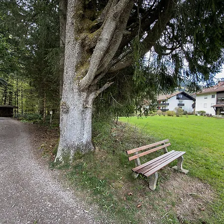 Tannenrauschen Apartment